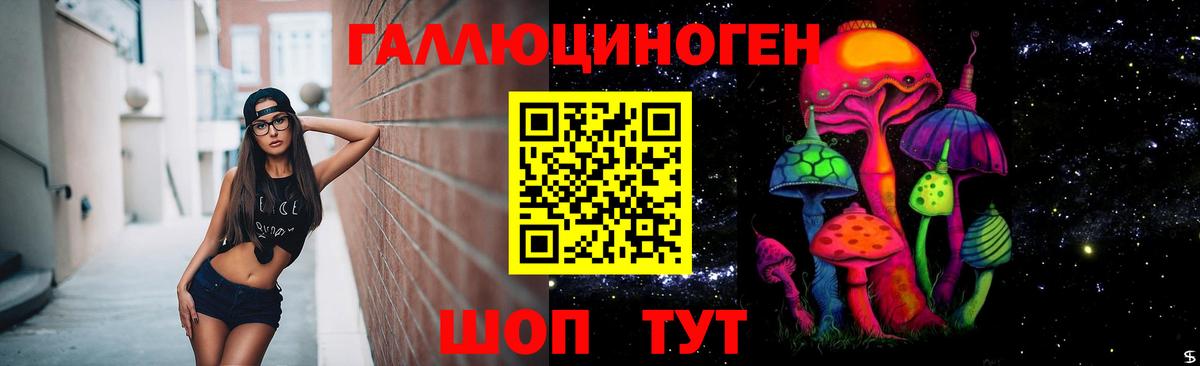 Псилоцибиновые грибы прущие грибы Калач-на-Дону